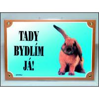 tabulka králík.jpg